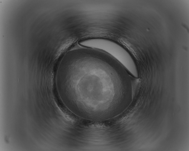 X0000091910586200709191321