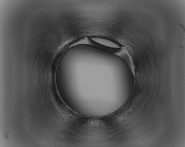 X0000091910587200709191321