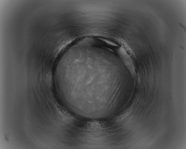 X0000091910588200709191321