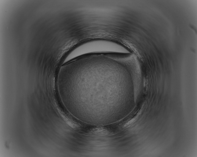 X0000091910589200709191321