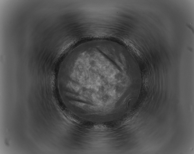 X0000091910591200709191321