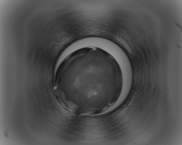 X0000091910593200709191321