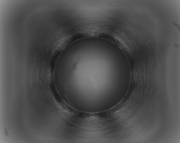 X0000091910594200709191321