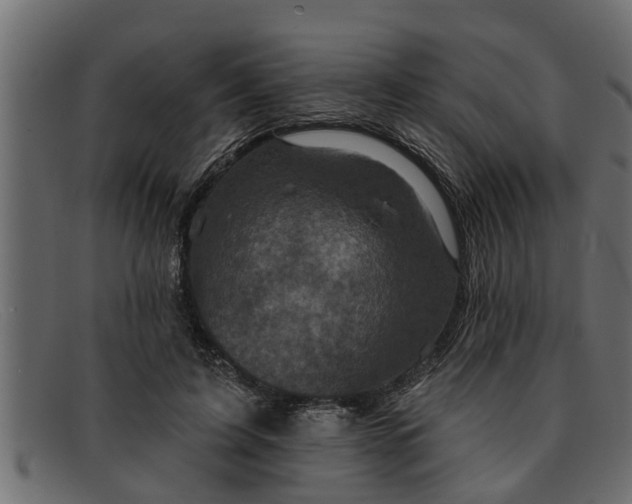 X0000091910595200709191321