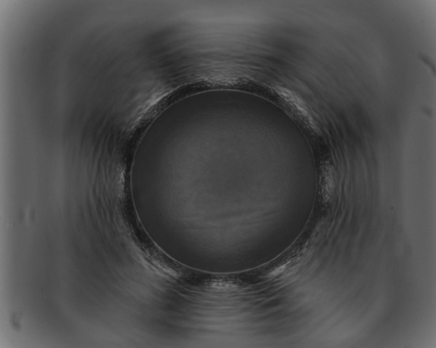 X0000091910596200709191321