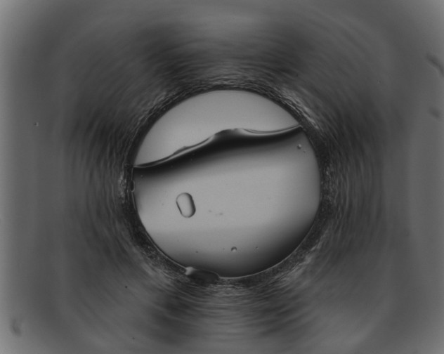 X0000091910597200709191321