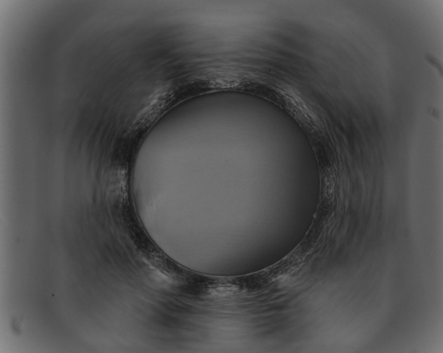 X0000091910598200709191321