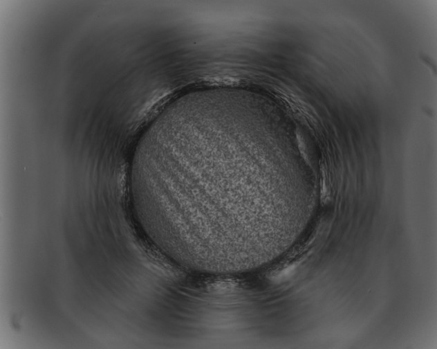 X0000091910600200709191321