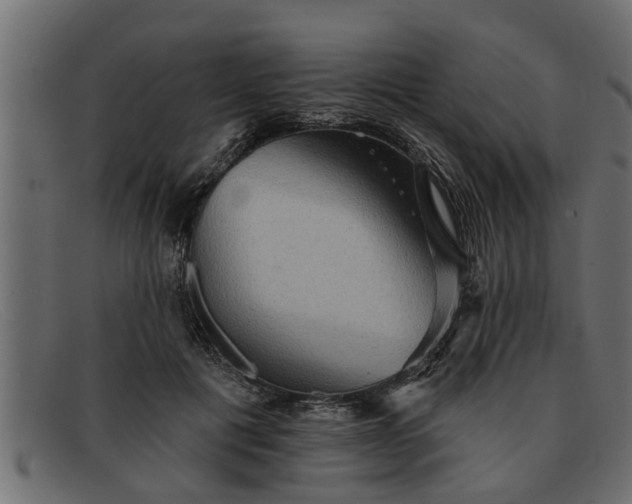 X0000091910601200709191321