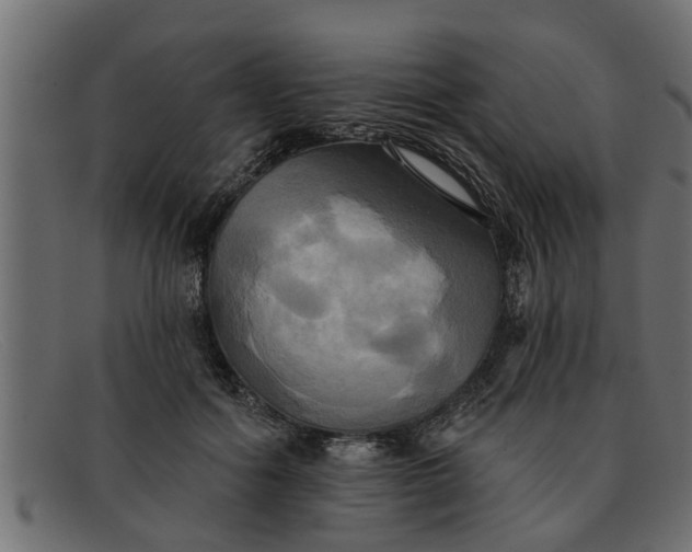 X0000091910602200709191321