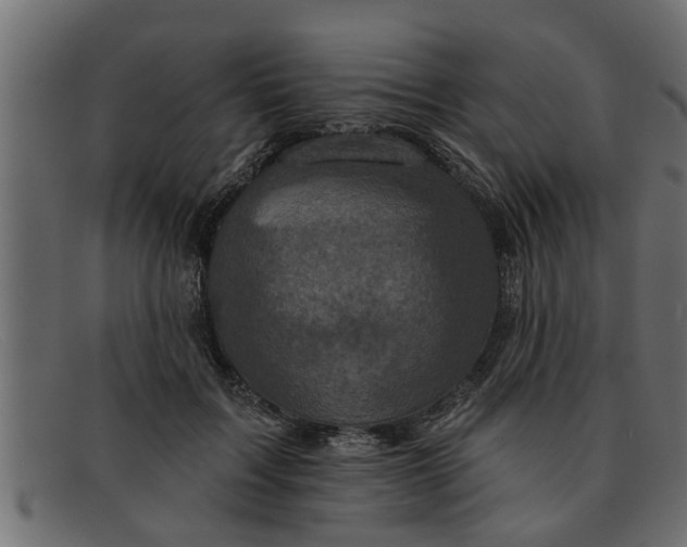 X0000091910603200709191321