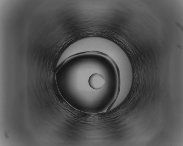 X0000091910604200709191321