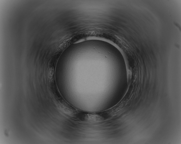 X0000091910605200709191321