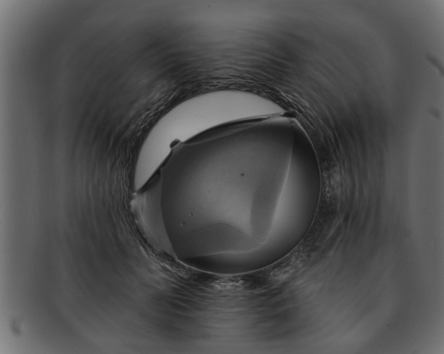 X0000091910606200709191321