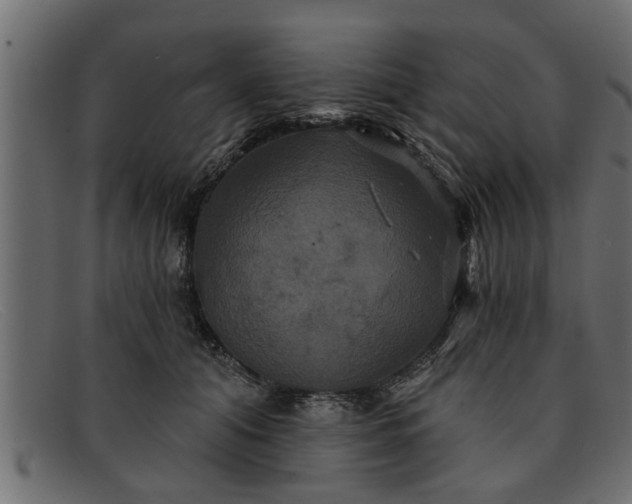 X0000091910608200709191321