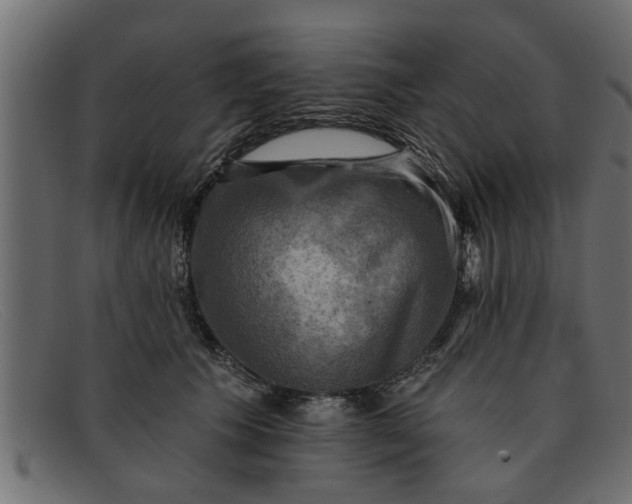 X0000091910609200709191321