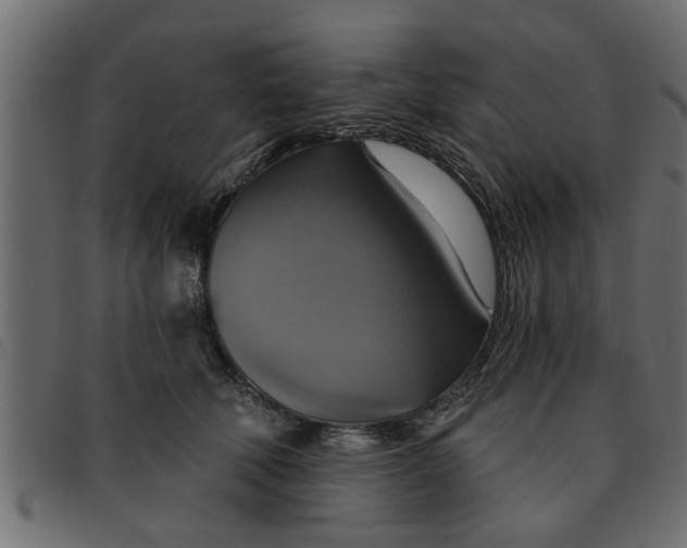 X0000091910610200709191321