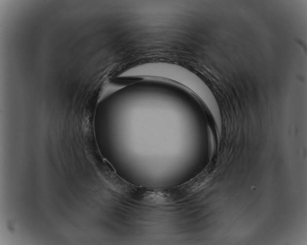 X0000091910611200709191321