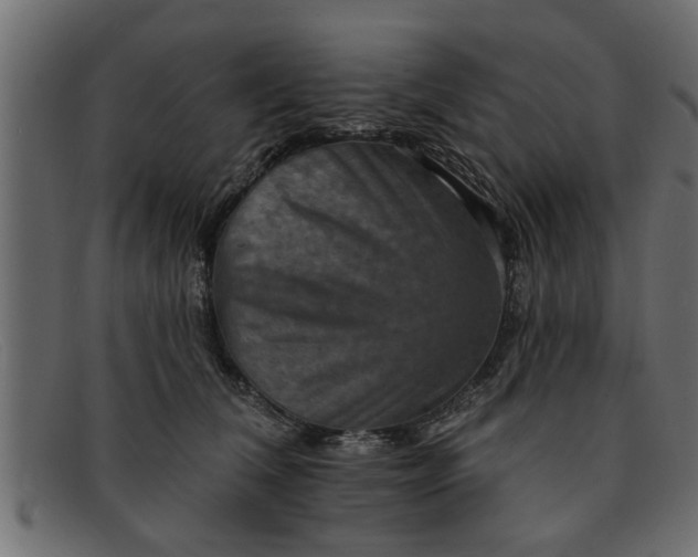 X0000091910612200709191321