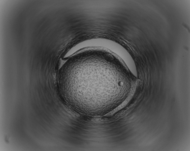 X0000091910613200709191321