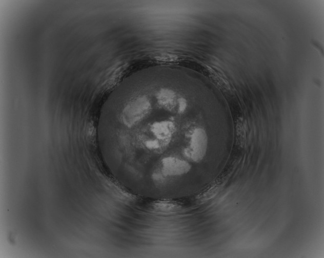 X0000091910614200709191321