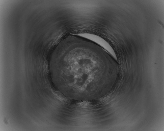 X0000091910615200709191321