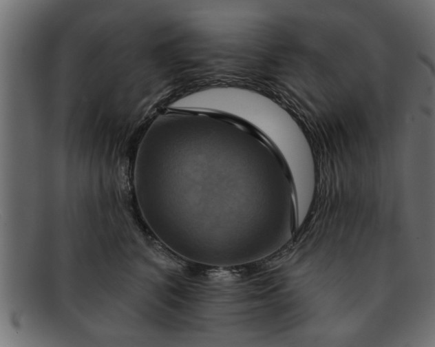 X0000091910616200709191321