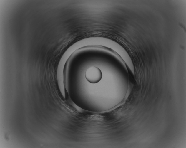 X0000091910617200709191321