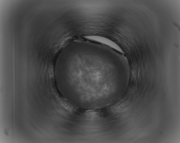 X0000091910620200709191321