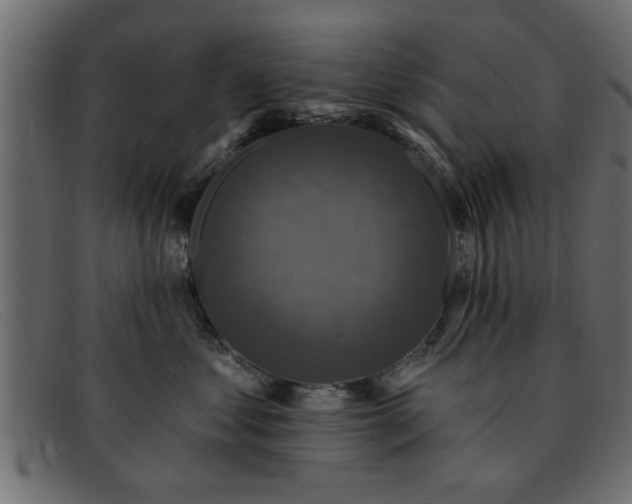 X0000091910621200709191321