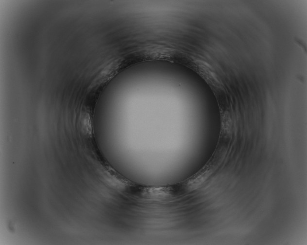 X0000091910622200709191321