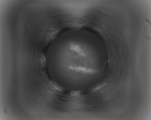 X0000091910624200709191321