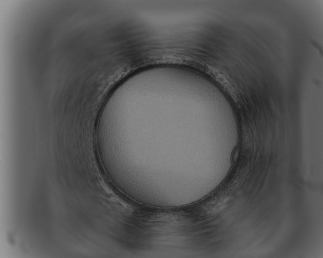 X0000091910625200709191320