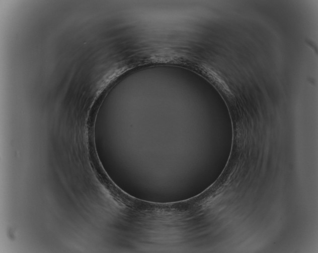 X0000091910626200709191320