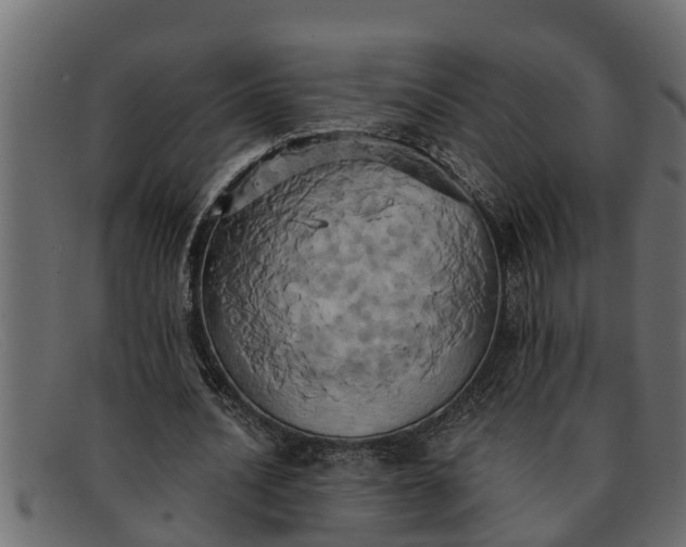 X0000091910628200709191320