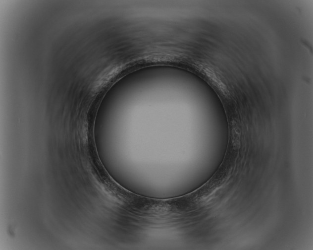 X0000091910631200709191320