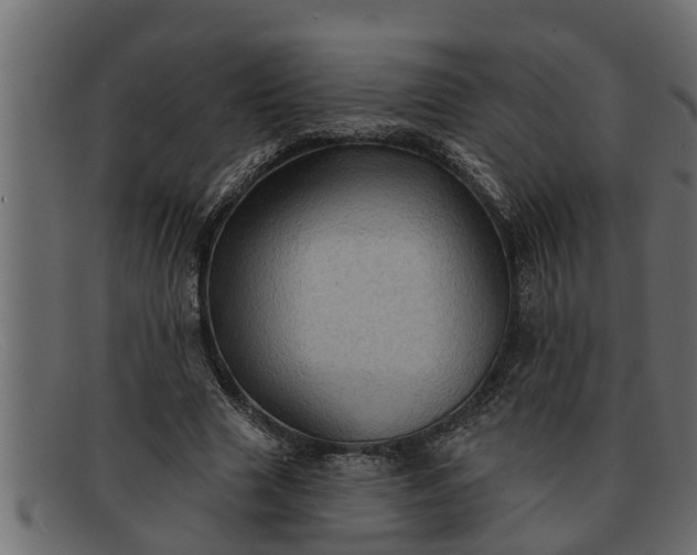 X0000091910633200709191320