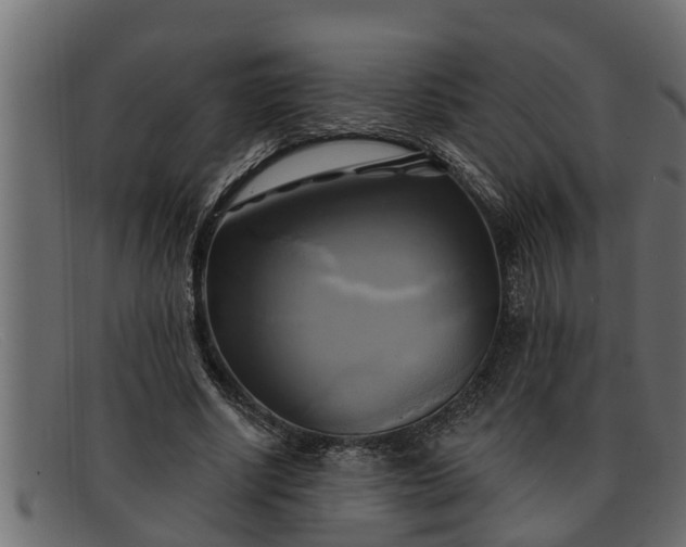 X0000091910634200709191320