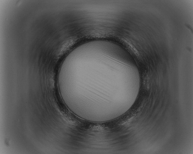 X0000091910635200709191320