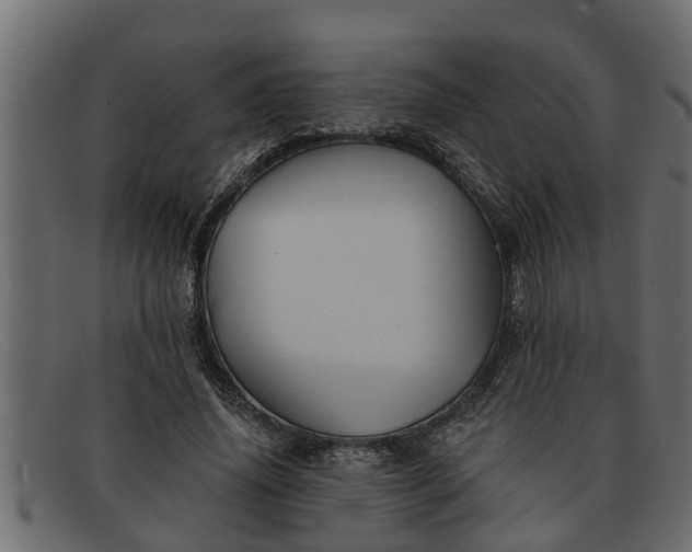 X0000091910636200709191320