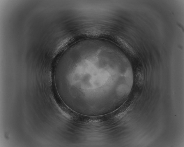 X0000091910638200709191320