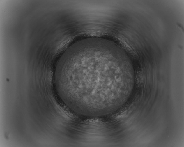 X0000091910639200709191320