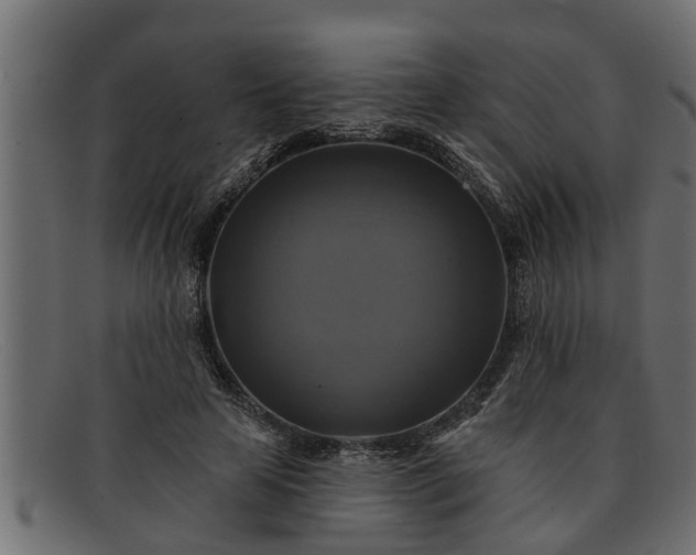 X0000091910641200709191320