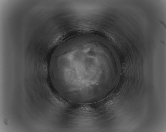 X0000091910642200709191320