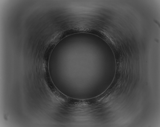 X0000091910643200709191320