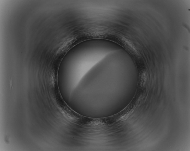 X0000091910644200709191320