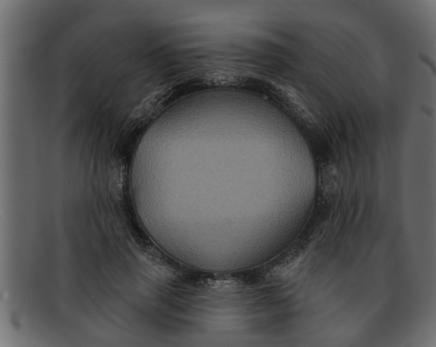 X0000091910645200709191320