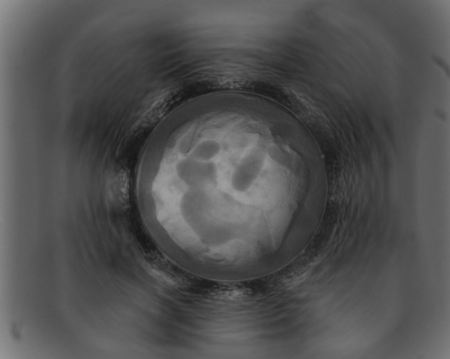 X0000091910646200709191320