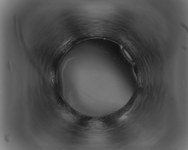 X0000091910648200709191321