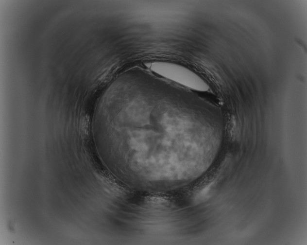 X0000091910649200709191321